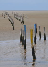 Wooden posts on beach