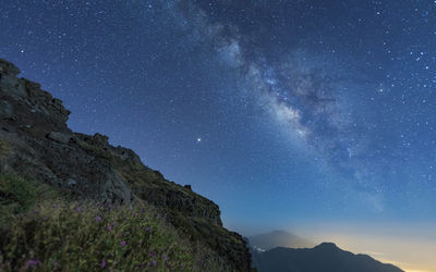 Low angle view of star field against sky at night