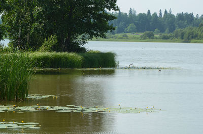 Scenic view of lake