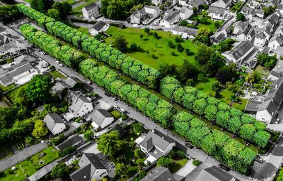 High angle view of trees and buildings in town