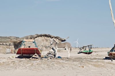 Panoramic view of horse cart on sand against sky