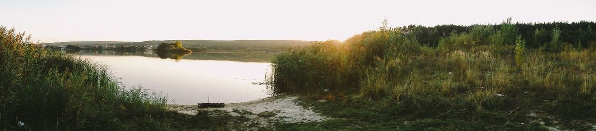 Scenic view of field against clear sky