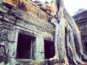 Low angle view of building