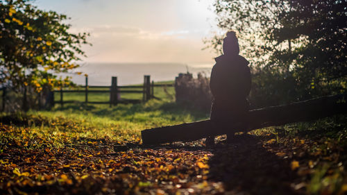 Rear view of woman sitting on wood at field during sunset