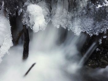 Close-up of icicles against trees