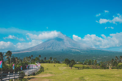 Scenic view of landscape against sky