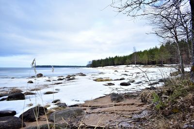 Scenic view of beach against sky during winter