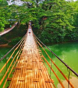 Footbridge over river amidst trees in forest