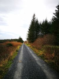 Road amidst trees on field against sky