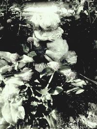 Close up of water