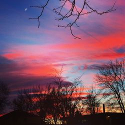 Silhouette trees against sky at sunset