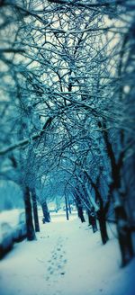 Snow covered landscape