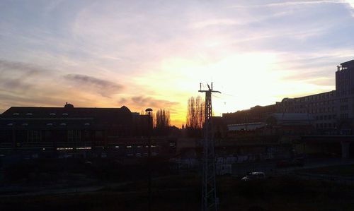 Silhouette cranes at sunset