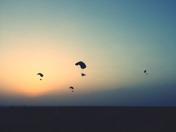 Silhouette birds flying in sky during sunset