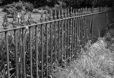 Fence on field