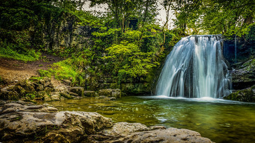 Scenic view of waterfall in forest