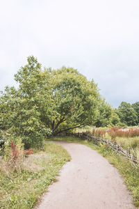 Road amidst trees on field against sky