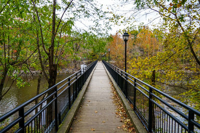 Footbridge amidst trees in forest during autumn