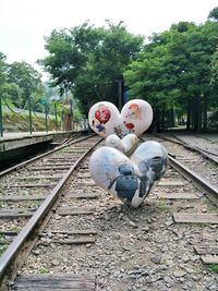 Railroad tracks by trees against sky