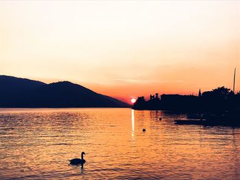 Silhouette ducks swimming on lake against sky during sunset