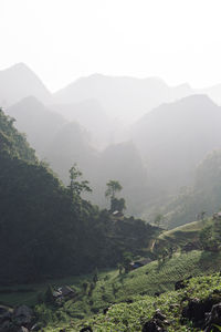 Scenic view of landscape and mountains against sky