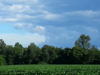 Scenic view of field against cloudy sky