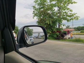Reflection of trees on side-view mirror