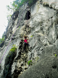 Low angle view of woman climbing on rock