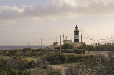 Plants on landscape against sky