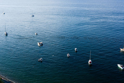 High angle view of birds in sea