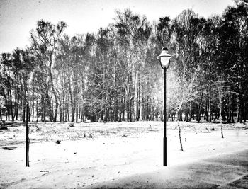 Scenic view of snow covered landscape