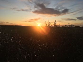 Scenic view of field against sky during sunset