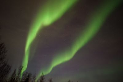 Scenic view of star field against sky at night