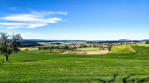 Scenic view of field against sky