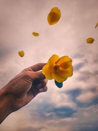 Person holding yellow flower against sky