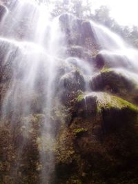 Low angle view of waterfall in forest against sky