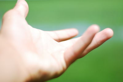 Close-up of person hand holding leaf