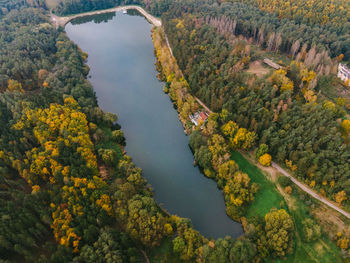 High angle view of road amidst trees