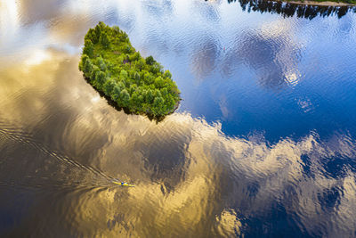 High angle view of plant on land