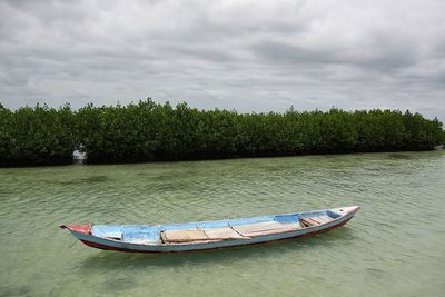 Boat moored by trees against sky