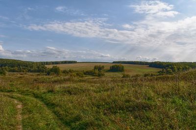 Scenic view of field against sky