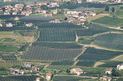 High angle view of buildings in wineyard