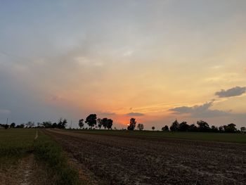 Scenic view of agricultural field against sky during sunset