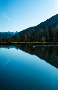 reflection