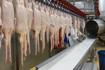 Excursion to the production of duck semi-finished products. full cycle from cutting to packaging