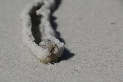 Close-up of sand on beach