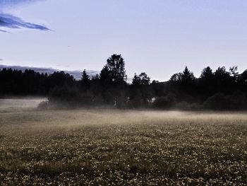 Scenic view of landscape against sky