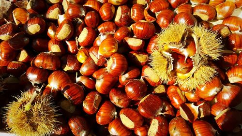 Close-up of chestnuts for sale at market