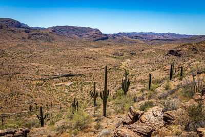 Scenic view of landscape and mountains against sky