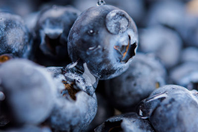 Fresh juicy blueberries, closeup selective focus